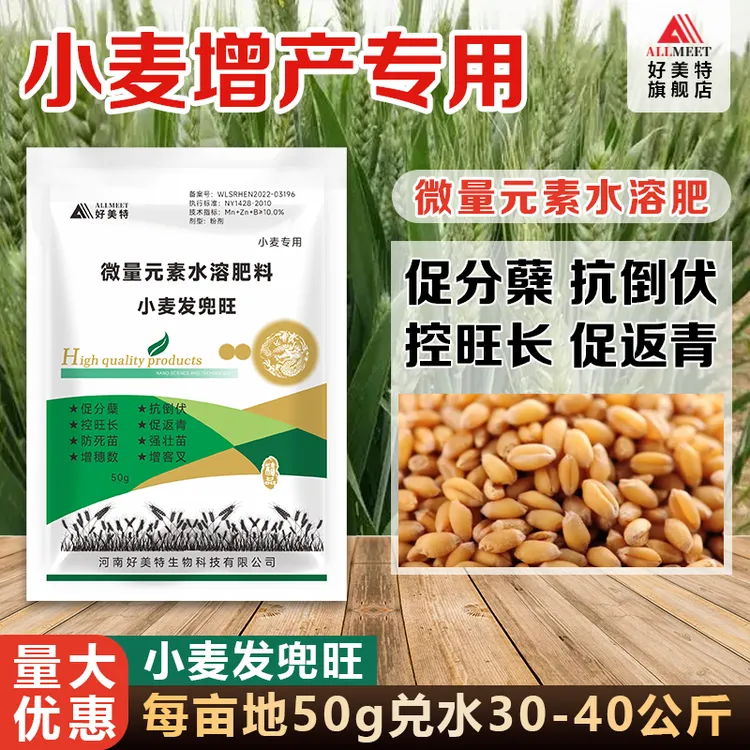 小麦发兜旺小麦专用抗倒伏控旺长增穗数促返青增客叉强壮苗增产