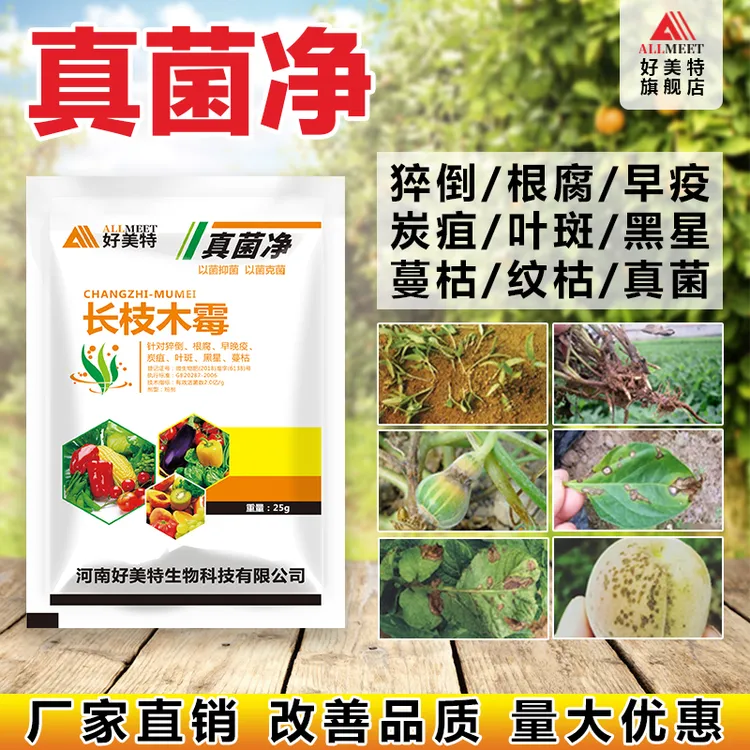 真菌净长枝木霉苗木炭疽猝倒根腐早疫叶斑黑星蔓枯真菌产品园艺