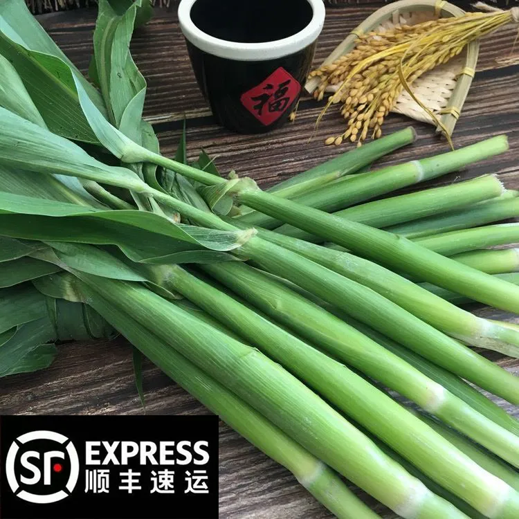 【顺丰包邮】东北头茬高粱乌米头茬乌米现掰现发