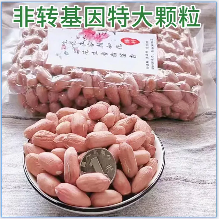 山东2025年新花生米生的新鲜不带壳生花生仁精选特大粒花生米