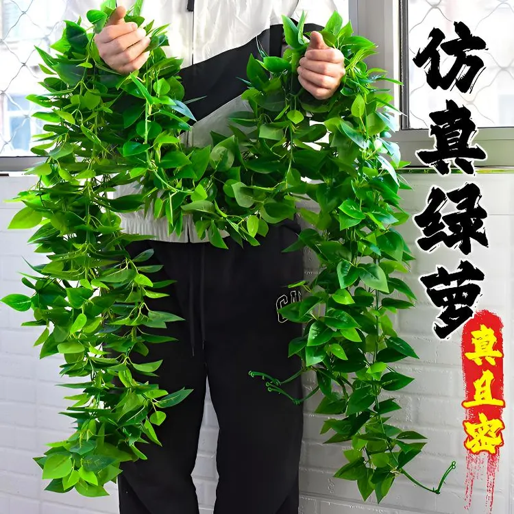 假花藤条仿真绿萝叶塑料室内绿植物假树叶墙壁遮挡餐厅绿植绿叶子