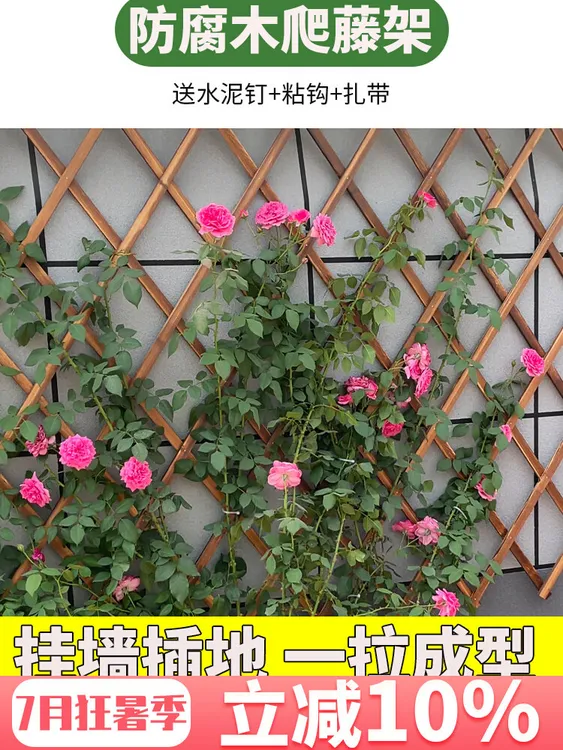 爬藤架防腐木挂墙花架墙面阳台网格花架子月季花架篱笆花园围护栏