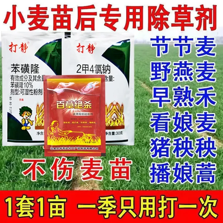 小麦田除草剂小麦苗后除草剂小麦田杂草克星小麦苗后专用除草剂