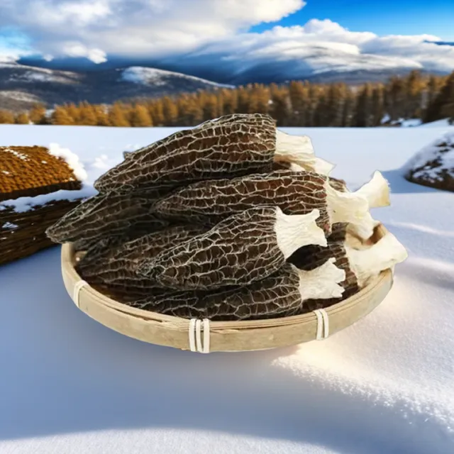上等头茬羊肚菌菇特产干货肉质100克食用美味饱满高原产地
