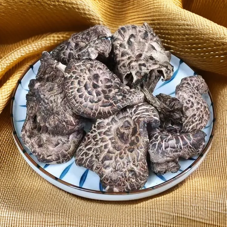 精选高原野生黑虎掌菌獐子菌高原特产煲汤香菇食用方便香味浓郁