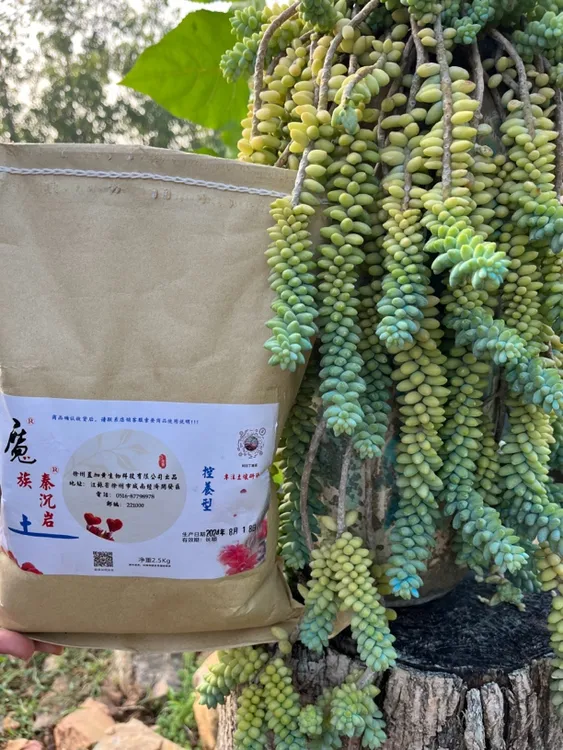 魔族秦沉岩土-低端系列-多肉土5斤/包，一次买10包送1包，不支持退