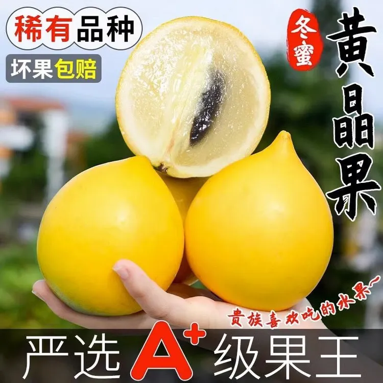 稀有包邮黄晶果水果孕妇罕见新鲜牛奶果5整箱/大果