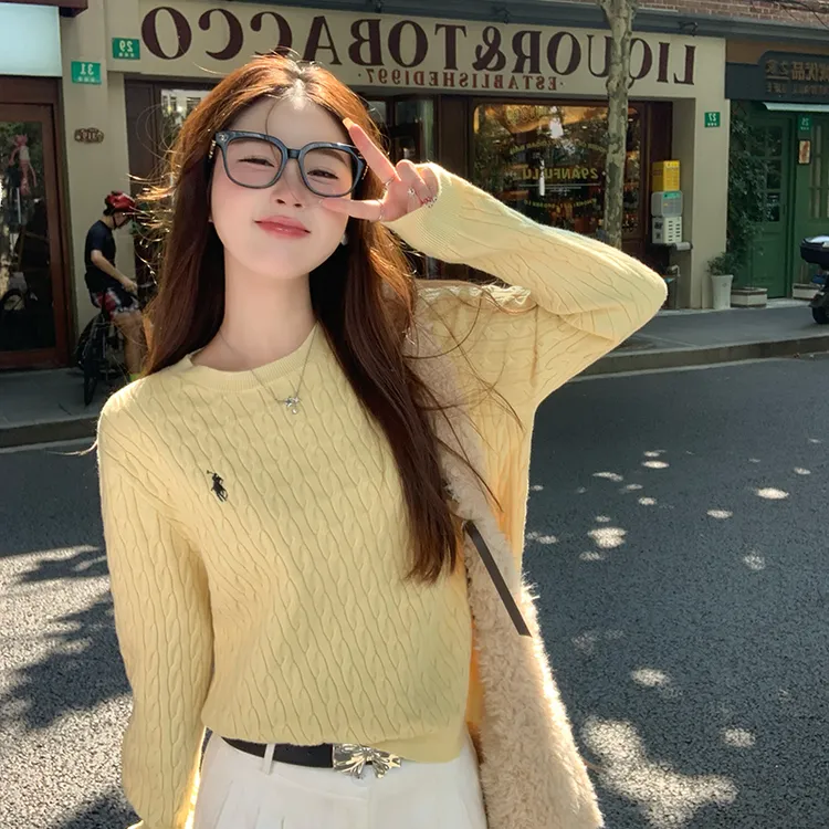 麻花肌理长袖打底衫秋冬圆领针织2025新款宽松外穿时尚百搭毛衣