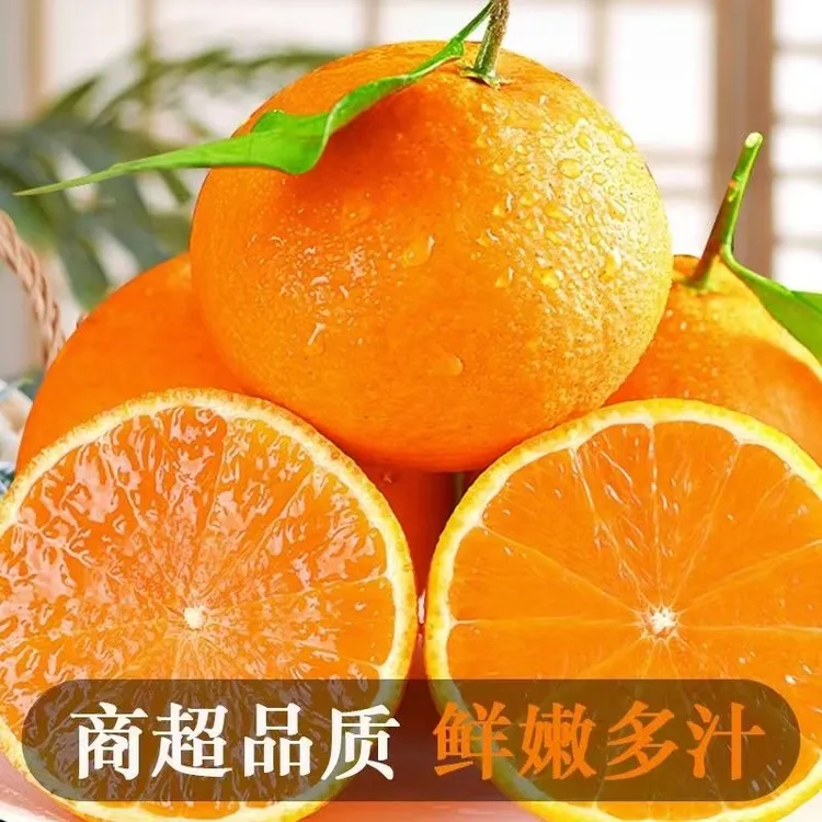 【9甜1酸】四川爱媛38号果冻橙 现摘现发头茬鲜果 高品质水果香甜