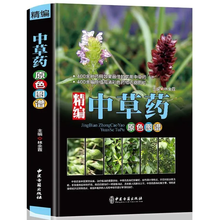 【原色图谱】精编中草药 入门识别中药材 中医医学自学经典实用书籍