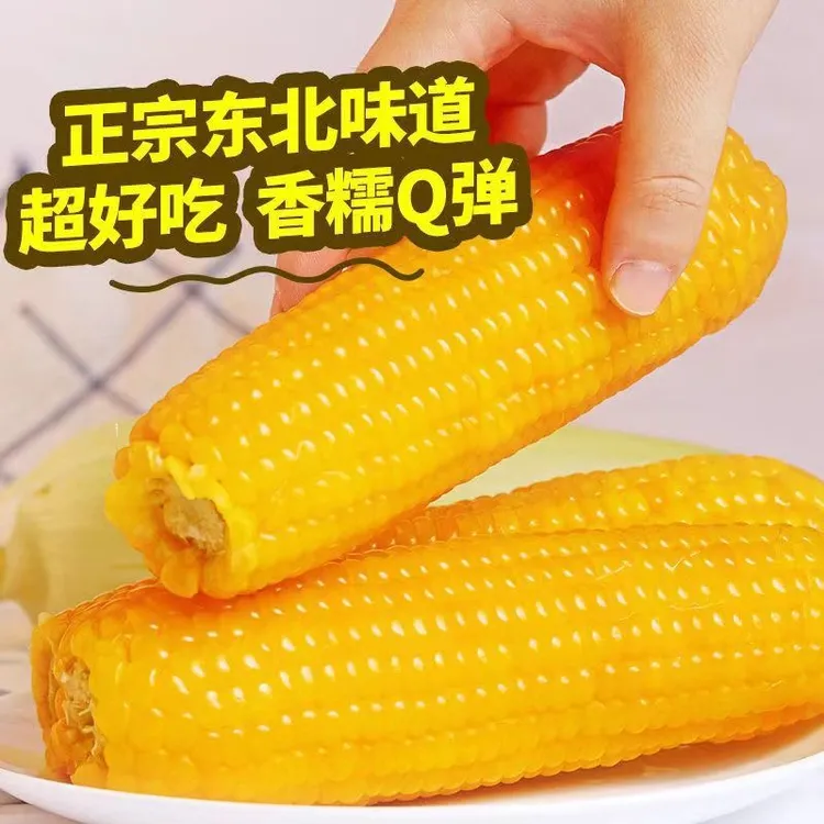 东北糯玉米黄糯粘黏新鲜真空棒包邮非转代减餐玉米新鲜糯玉蒸煮