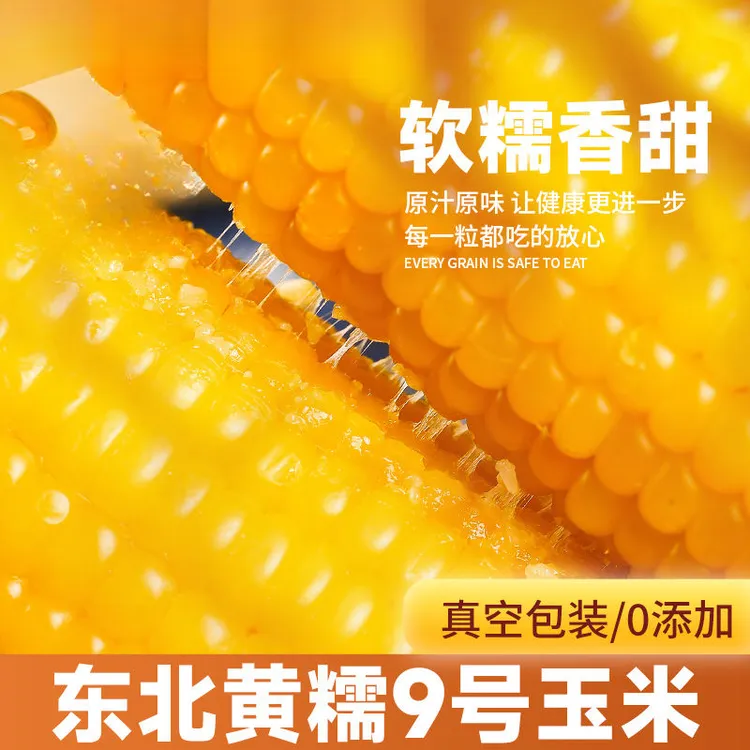 黑土地东北黄糯玉米蒸煮精品甜糯低脂真空包装非转基因浓郁