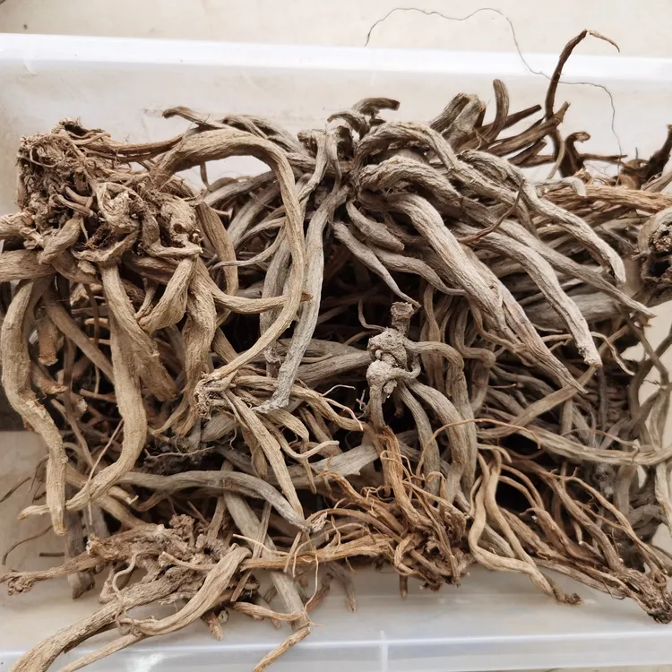 大蓟根（内叶刺头）干品 煲汤食材