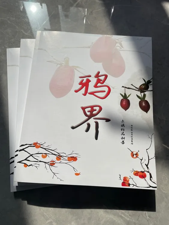 老鸦柿种子送老鸦柿品种图册学习手册鸦界一本