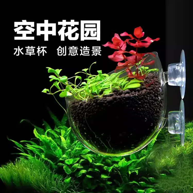 鱼缸水族箱饲育造景盆缸内型水草杯水草种植杯玻璃水草造景水草盆