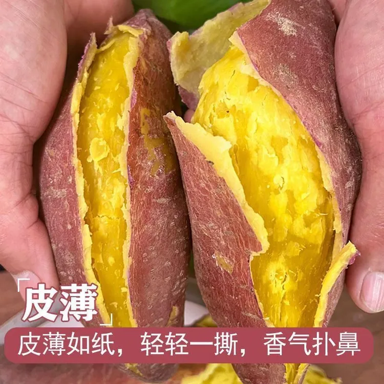 山东板栗红薯香甜粉糯地瓜新鲜农产品粗粮代餐