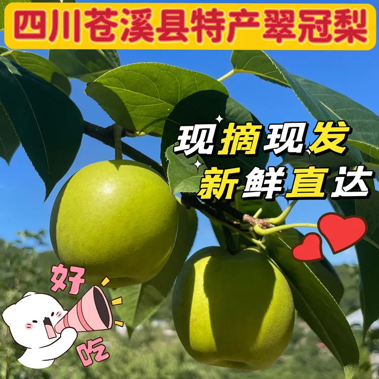 四川苍溪运山特产翠冠梨青梨当季新鲜水果现摘梨子包邮