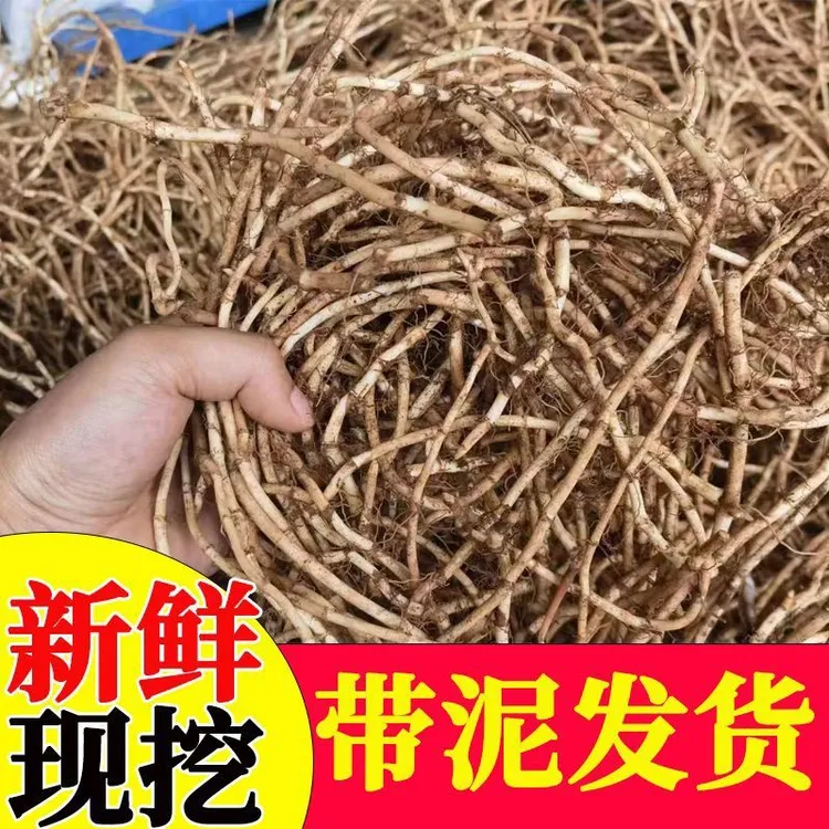 鱼腥草折耳根节节根折儿根新鲜嫩根现挖侧耳新鲜蔬菜包邮