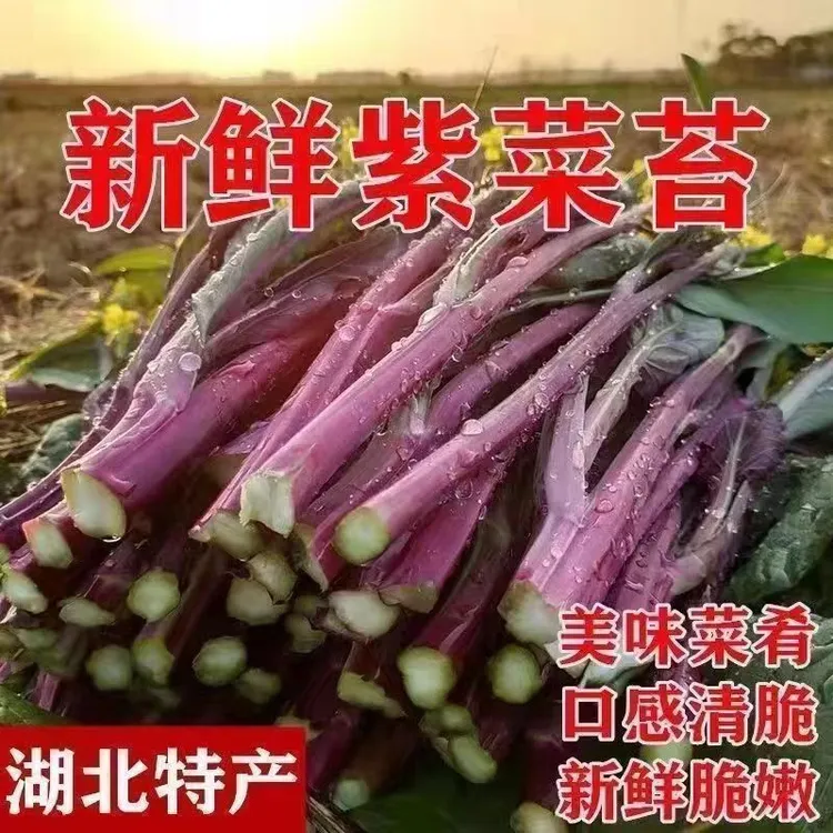 湖北农家新鲜红菜苔 当季蔬菜红心菜苔 当季青菜红菜苔