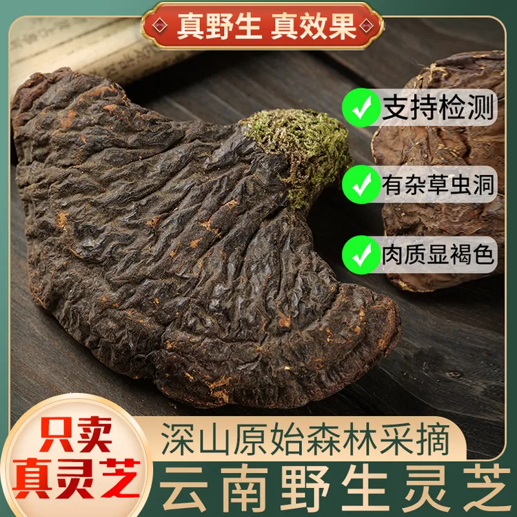 深山万物野生灵芝正品云南灵芝整枝赤灵芝整朵林芝礼盒长白山西藏