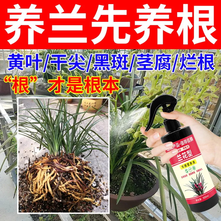 兰花黄叶干尖专用药兰花黑斑烂根软腐病免稀释直接喷专用营养液