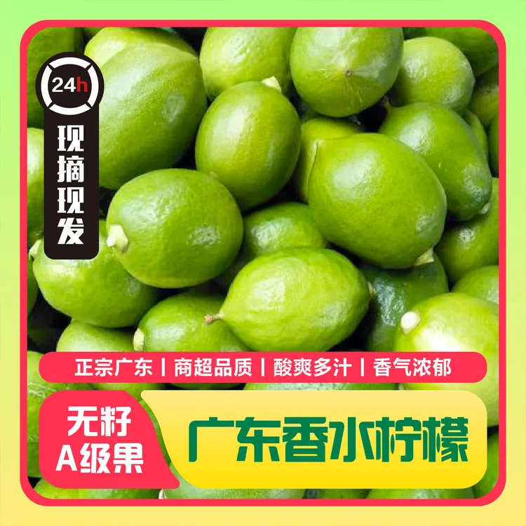 【正宗爆香】广东香水柠檬新鲜无籽大果一二级应当季水果奶茶店专用