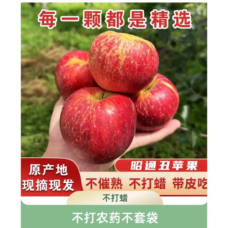 云南昭通丑苹果现摘当季水果脆甜冰糖心果肉细腻产地直发
