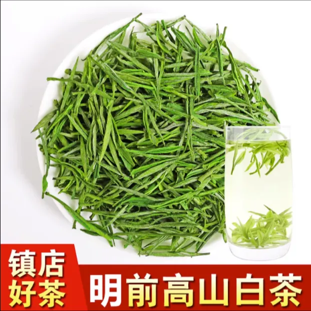 2024新茶嫩芽绿茶春茶高山绿茶白叶一号茶叶产地直销口粮茶