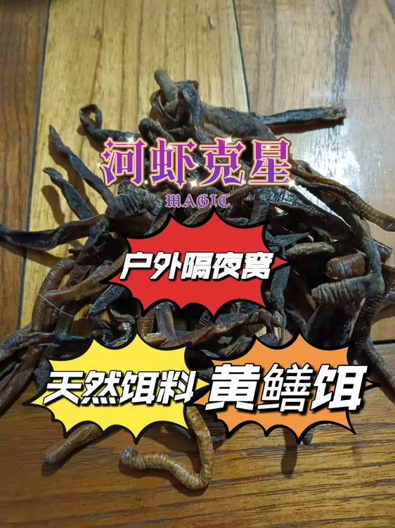 青蚯蚓干逮黄鳝泥鳅龙虾户外隔夜窝蛋白饲料黑坑添加河虾饵