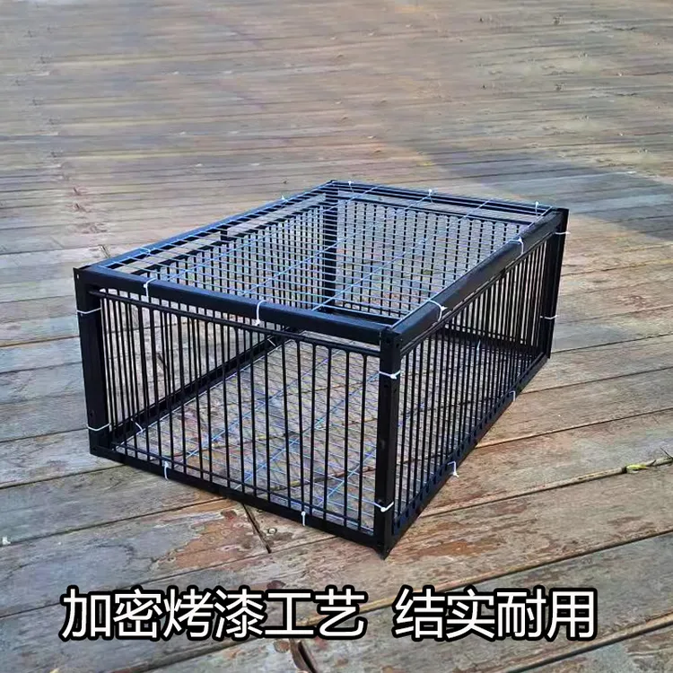 新款烤漆加密两厘米养殖天落鸽子回收笼