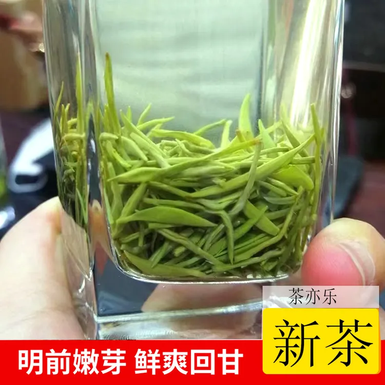 绿茶茶叶2024新茶明前好茶早春采摘优质嫩芽品质栗香味醇毛尖500g