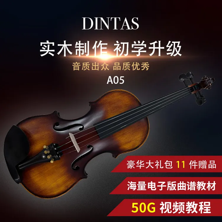 DINTAS/丁塔斯A05欧料小提琴初学入门学生成人自学练习考级小提琴