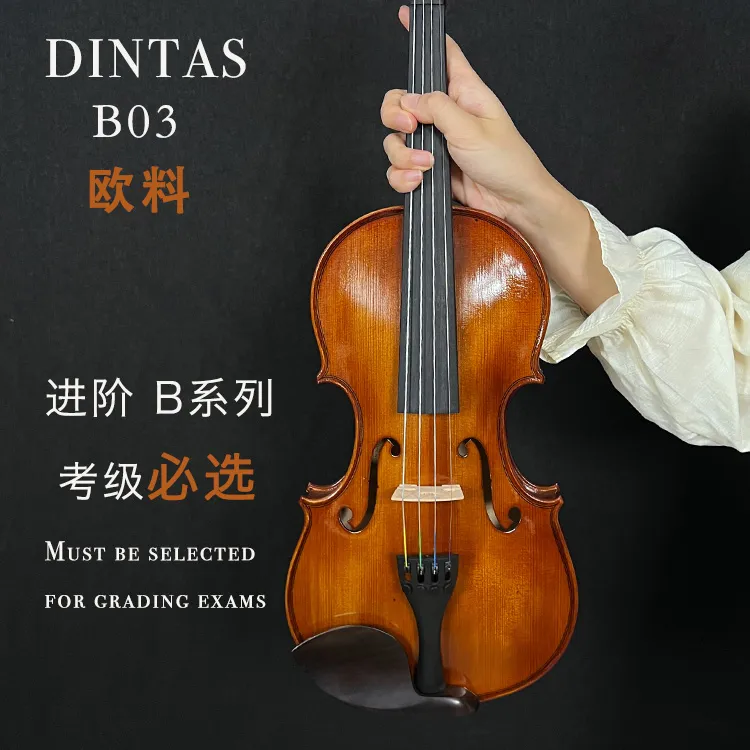 DINTAS/丁塔斯B03实木手工虎纹欧料小提琴演奏专业高档乐器小提琴