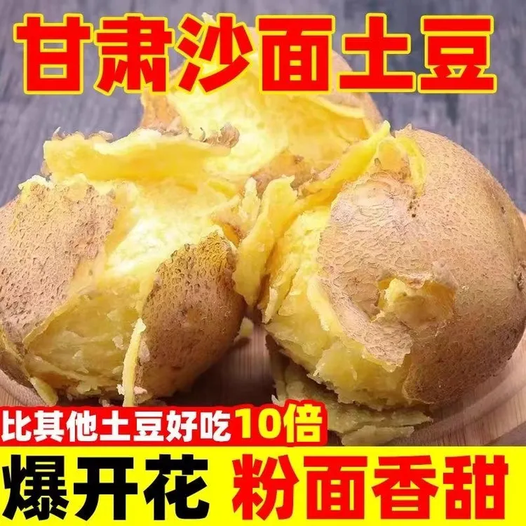 正宗饱满甘肃定西土豆2025沙地黄心沙面粉糯新鲜现挖土豆包邮