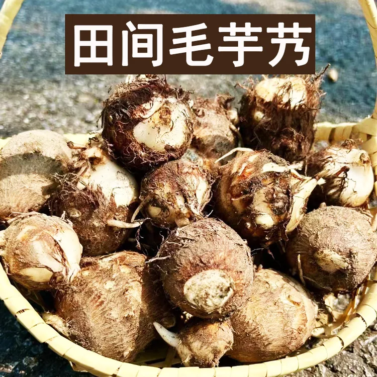 新鲜毛芋艿浙江绍兴上虞虞南特产生鲜蔬菜