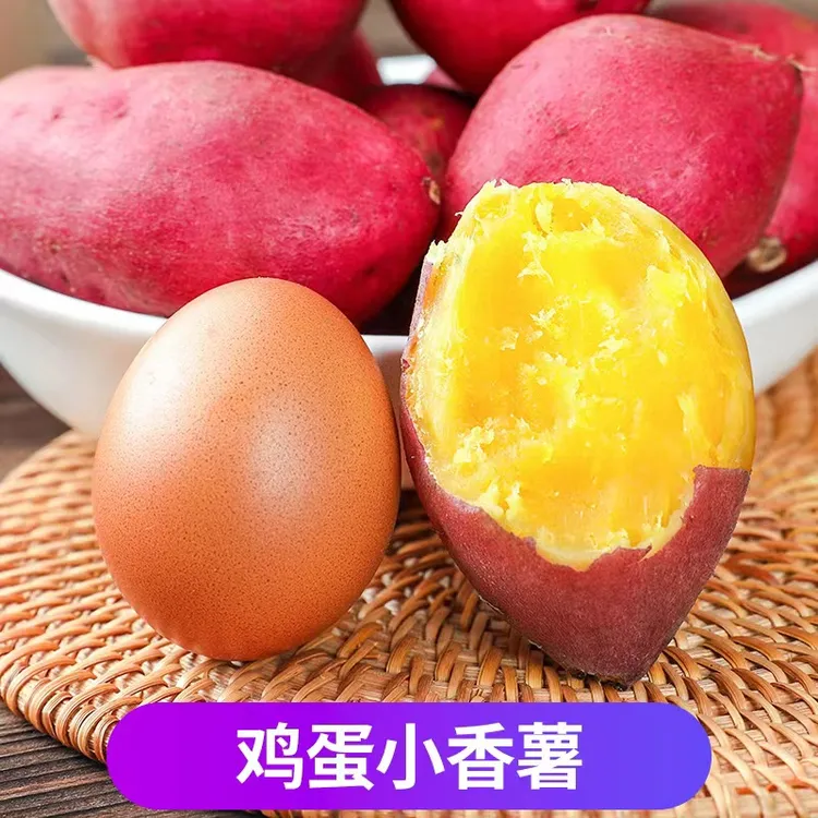 新鲜板栗红薯5斤蛋蛋果临安天目山小香薯鸡蛋圆番薯农家自种地瓜