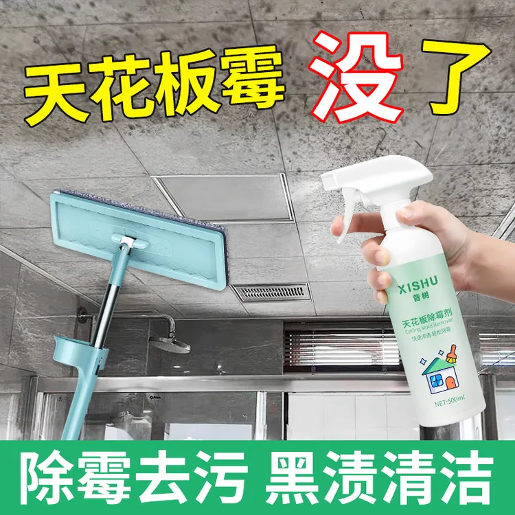 昔树墙体除霉剂墙面家用除霉菌神器墙壁发霉清除剂去霉斑快速室内