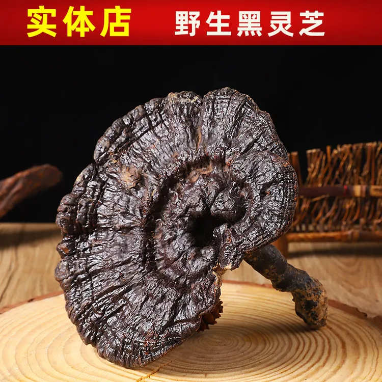 遇芝缘黑灵芝正品野生深山野灵芝干货整枝不苦黑芝泡酒煲汤帮切片