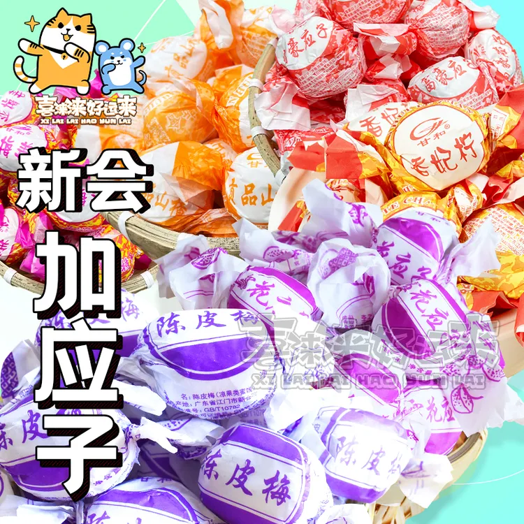 新会特色甘和陈皮梅加应子李子蜜饯酸甜果脯散装传统儿时零食500g