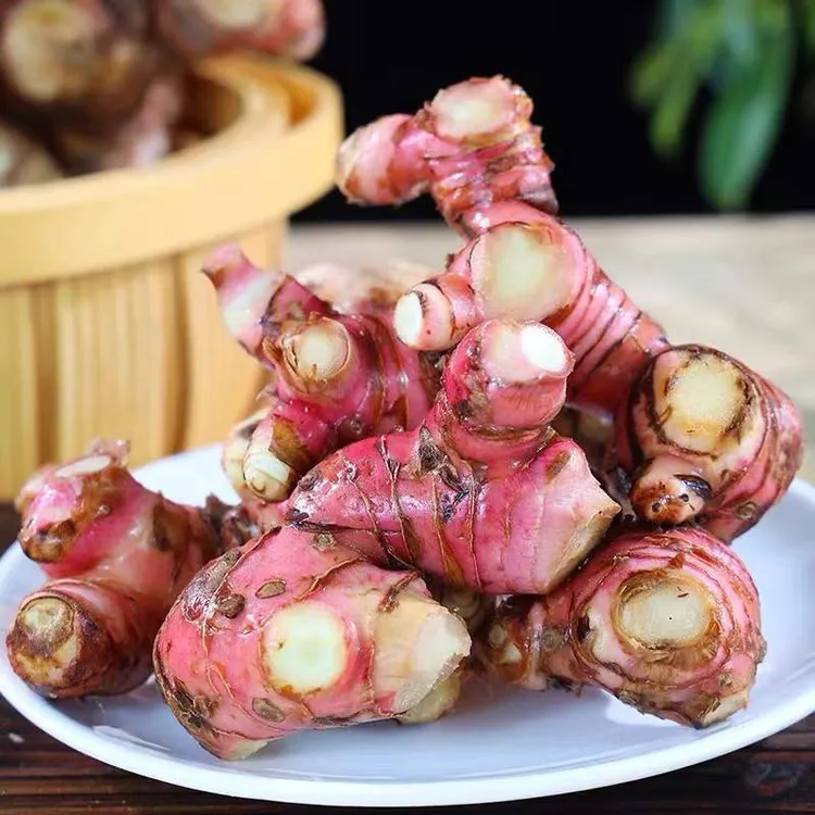 潮汕南姜 新鲜南姜牛羊肉火锅去腥增香配料调味品老南姜