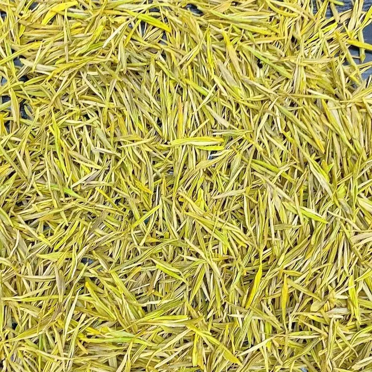 2025年新茶  黄金芽 浓香耐泡板栗香 A198款黄金芽