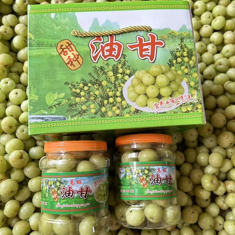 【礼盒装】新鲜采摘甜种油甘送礼佳品崩坎果香（油柑重量）1.7斤装