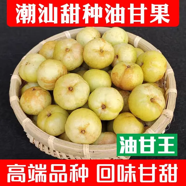 潮汕金灶柿饼甜油柑酥脆回甘甜大果生吃榨汁煲汤一斤装包邮零食