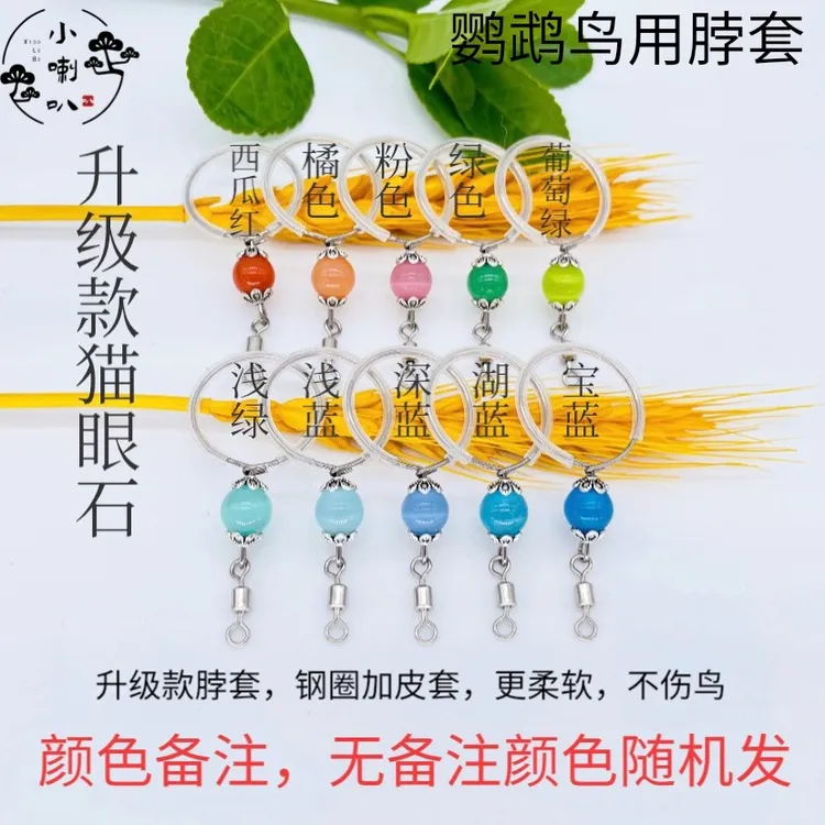 牡丹脖套玄凤小太阳训鸟遛鸟不锈钢项圈链子和尚鹦鹉脚链脚环