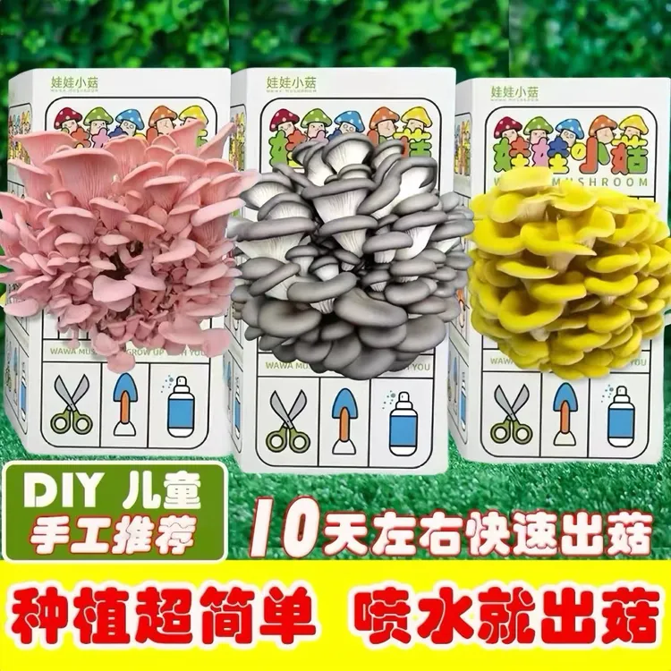 【买1发3】蘑菇盒子儿童diy种植植物观察日记家庭种植蘑菇菌包平菇