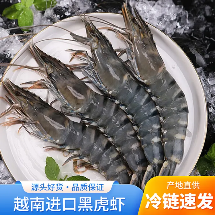 优选规格超大新鲜大虾老虎虾鲜活虎虾基围虾特大速冻海鲜竹海捕