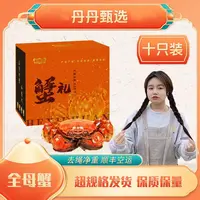 【活蟹优选】大闸蟹 全母蟹2.3-2.0两 8-10只 冷链包邮