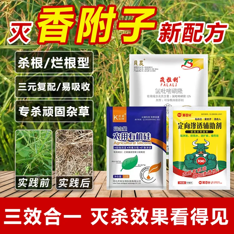 【商城专属】香附子克星烂根剂杀连根除草尖叶草香附子除草配方套装
