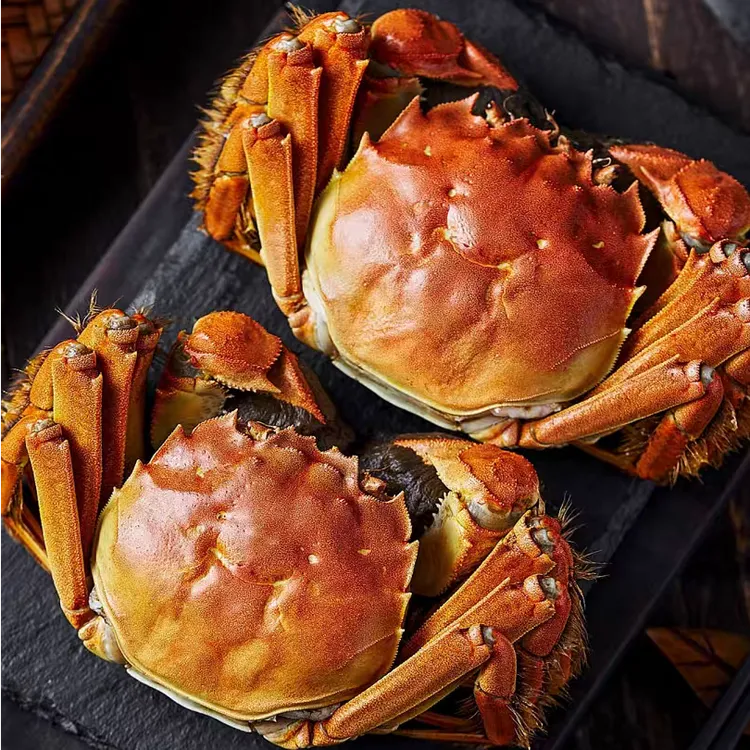 苏州大闸蟹全母蟹3.1-2.8两精品蟹8-10只礼盒装