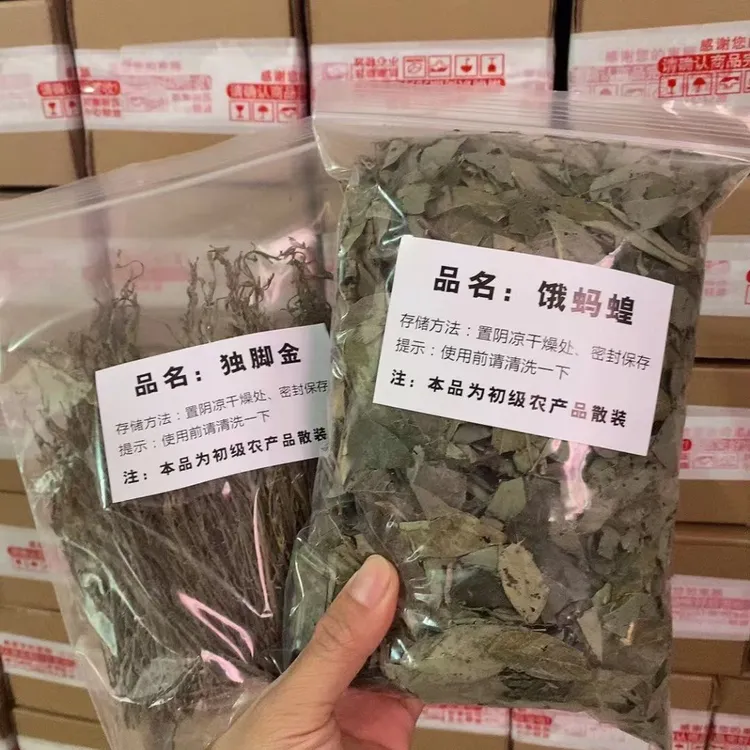 饿蚂蝗和独脚金（不爱吃饭饭的宝贝拍这个）